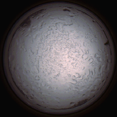 capture_202112060815_1458.Png