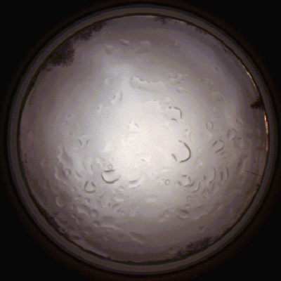 capture_202112061455_1858.Png