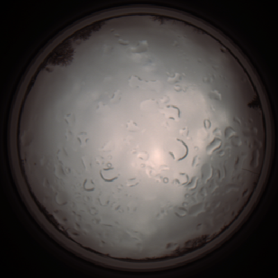 capture_202112061316_1759.Png