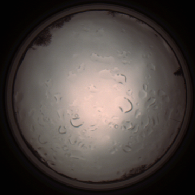 capture_202112061417_1820.Png