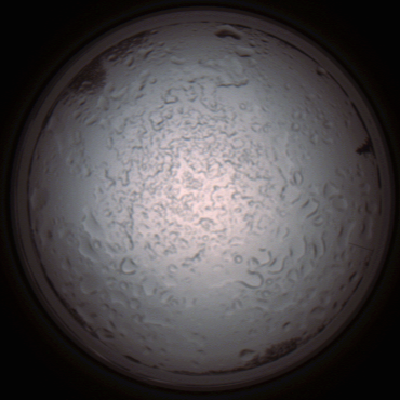 capture_202112060836_1479.Png