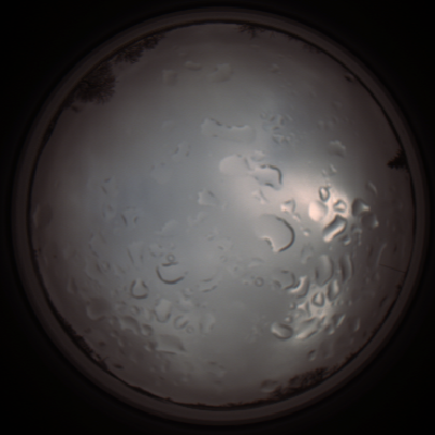 capture_202112061336_1779.Png