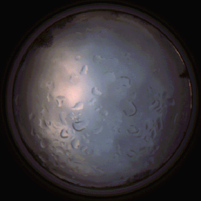 capture_202112061525_1888.Png