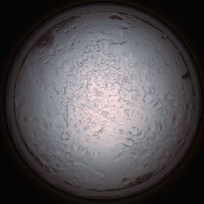capture_202112060833_1476.Png