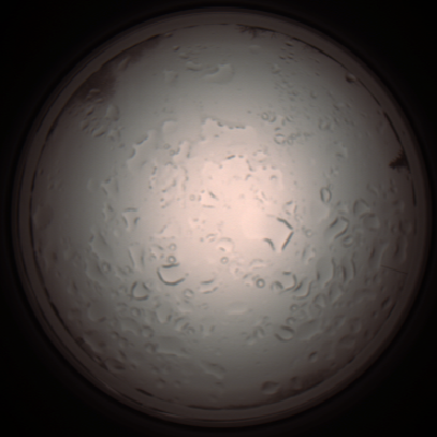 capture_202112061029_1592.Png