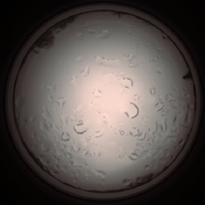 capture_202112061215_1698.Png