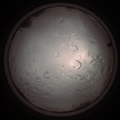 capture_202112061312_1755.Png