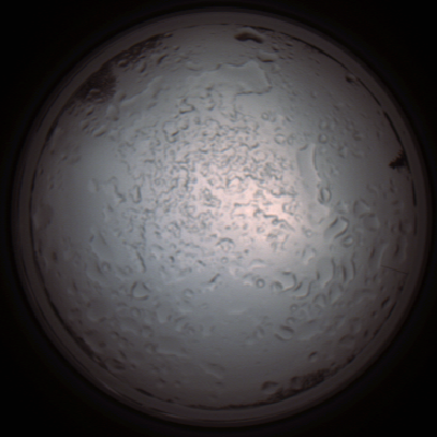 capture_202112060925_1528.Png