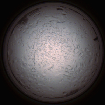 capture_202112060825_1468.Png