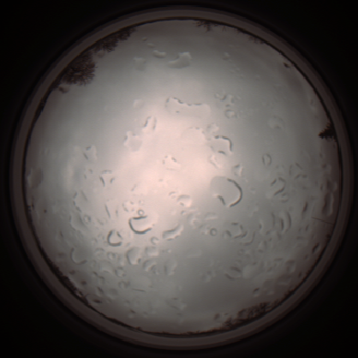 capture_202112061306_1749.Png
