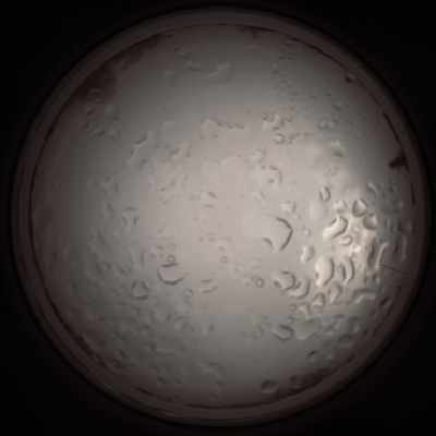capture_202112061034_1597.Png