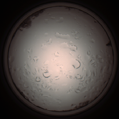 capture_202112061155_1678.Png