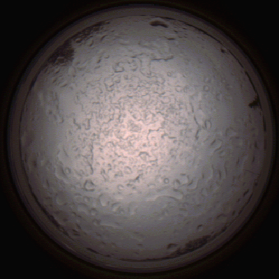 capture_202112060754_1437.Png