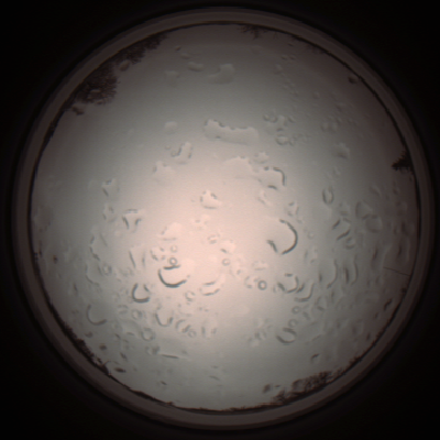 capture_202112061151_1674.Png