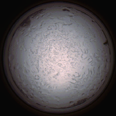 capture_202112060817_1460.Png