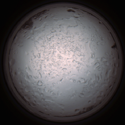 capture_202112060924_1527.Png