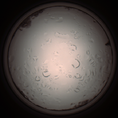 capture_202112061157_1680.Png