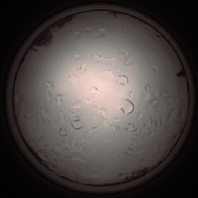 capture_202112061250_1733.Png