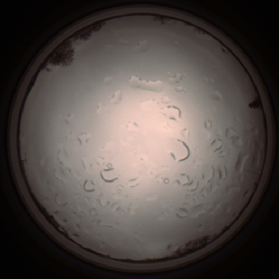 capture_202112061406_1809.Png