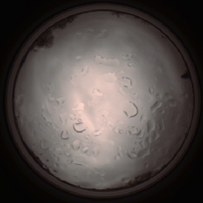capture_202112061429_1832.Png