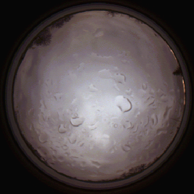 capture_202112061459_1862.Png