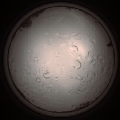 capture_202112061240_1723.Png