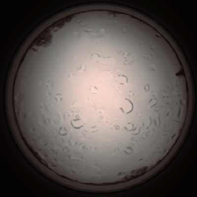 capture_202112061208_1691.Png