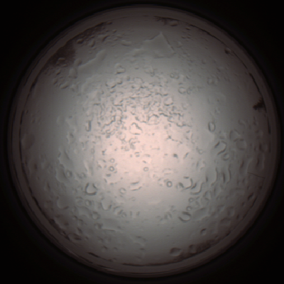 capture_202112060954_1557.Png