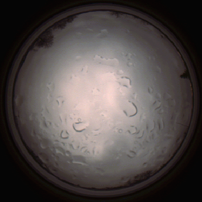 capture_202112061438_1841.Png