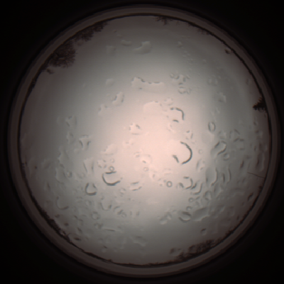 capture_202112061255_1738.Png