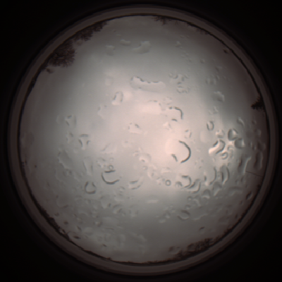 capture_202112061309_1752.Png