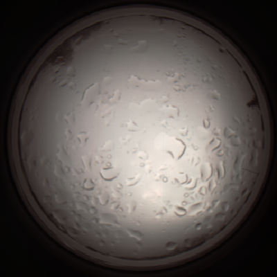 capture_202112061040_1603.Png