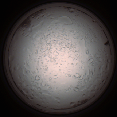 capture_202112060948_1551.Png