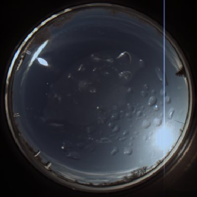 capture_202112071137_2211.Png