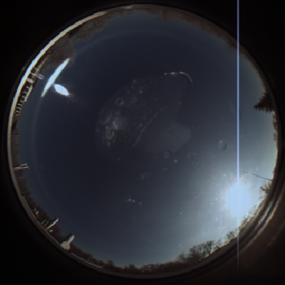 capture_202112081139_2764.Png