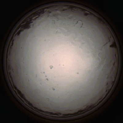 capture_202112091357_3453.Png