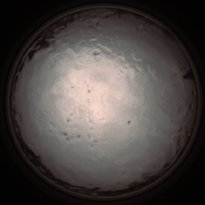 capture_202112091319_3415.Png