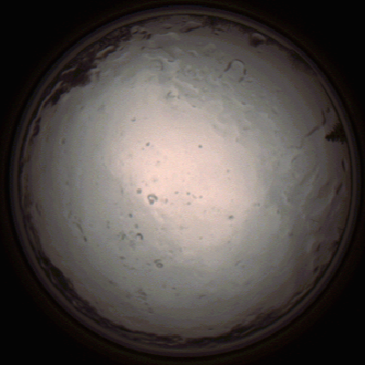capture_202112091400_3456.Png