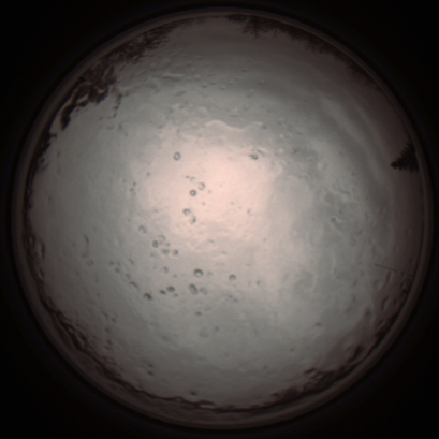 capture_202112091239_3375.Png