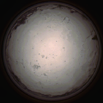 capture_202112091405_3461.Png