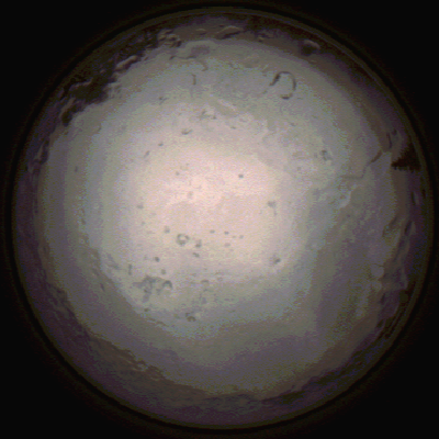capture_202112091435_3491.Png