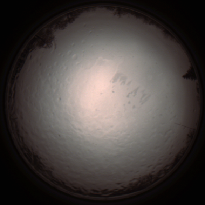capture_202112090929_3185.Png