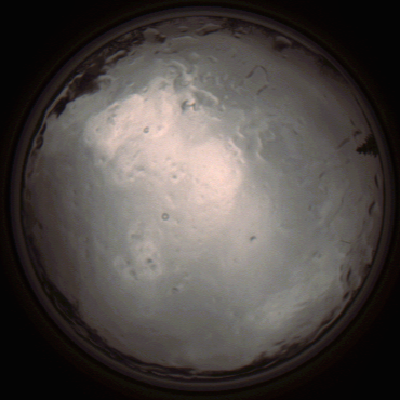 capture_202112091347_3443.Png