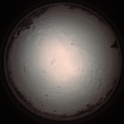 capture_202112091216_3352.Png