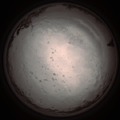 capture_202112091240_3376.Png