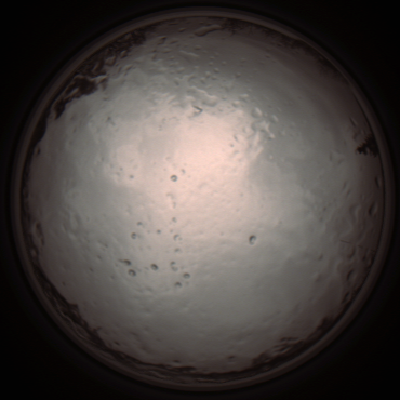 capture_202112091304_3400.Png