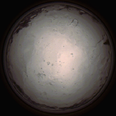 capture_202112091403_3459.Png