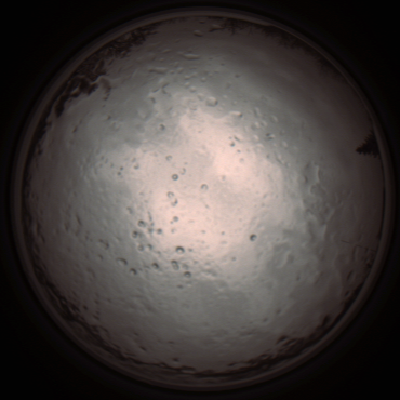 capture_202112091244_3380.Png