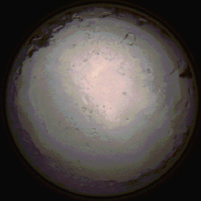 capture_202112091447_3503.Png