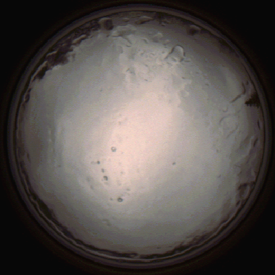 capture_202112091354_3450.Png